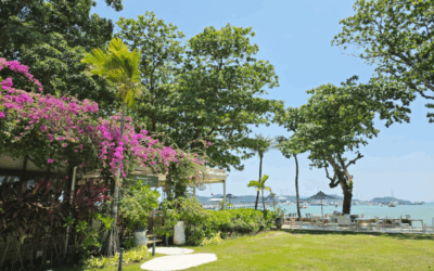 Best social Media Spot in Phuket